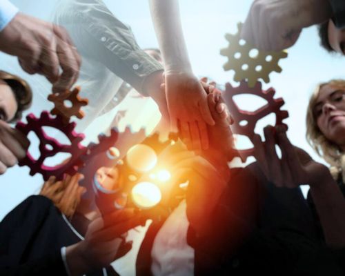 Collaborate With Us